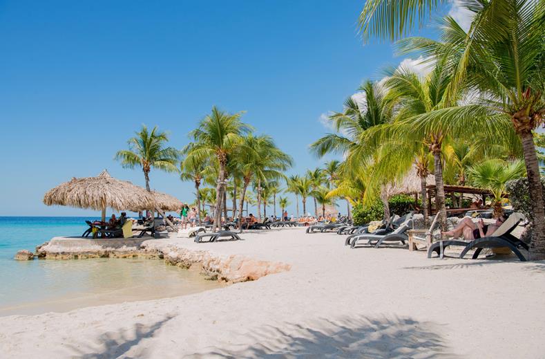 Lions Dive Beach Resort The Best Beaches In World Lions Dive Beach Resort Curacao Horse And Lion Photos