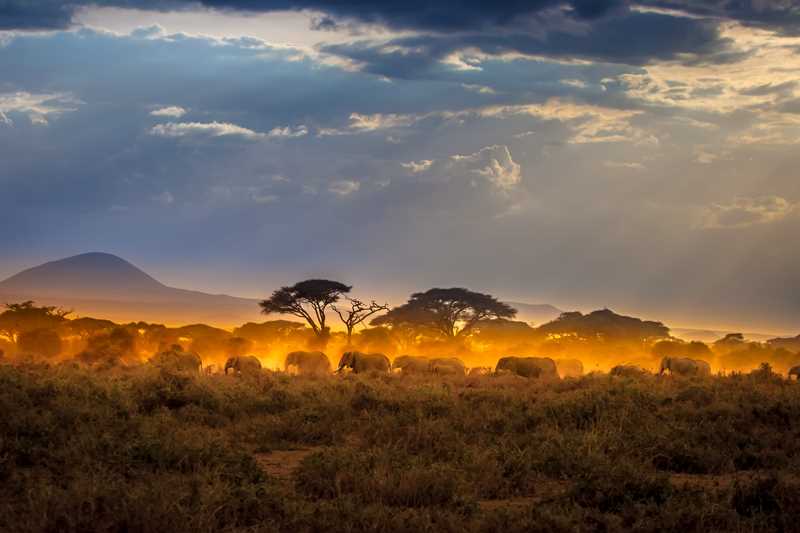  Rondreis Kenia Safari En Strand  thumbnail