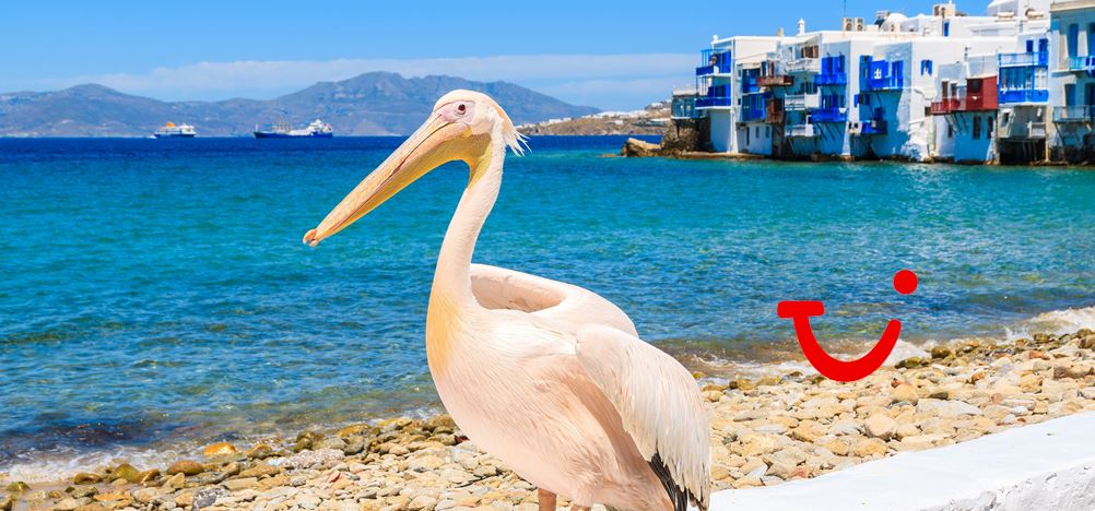 8-dg cruise Griekenland en Turkije