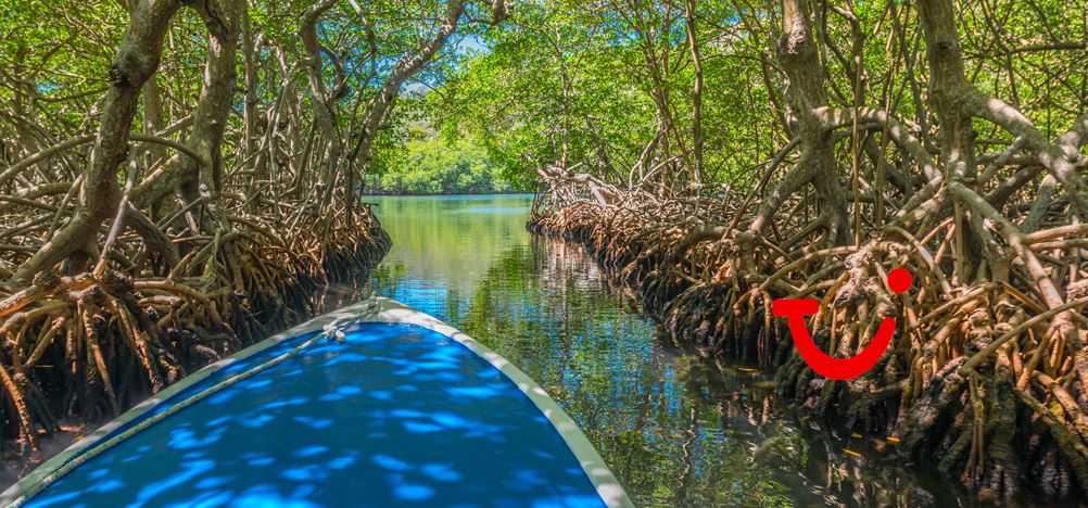 8-dg cruise West Caribische Zee - Icon of the Seas