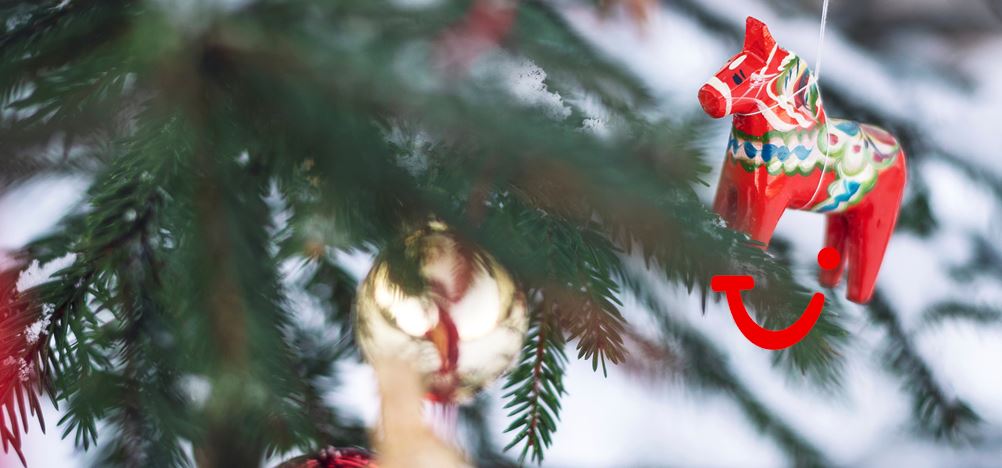 8-daagse fly-drive Zweeds winter wonderland