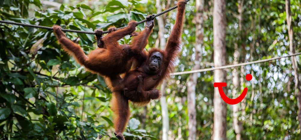 24-daagse rondreis Sumatra, Java & Bali