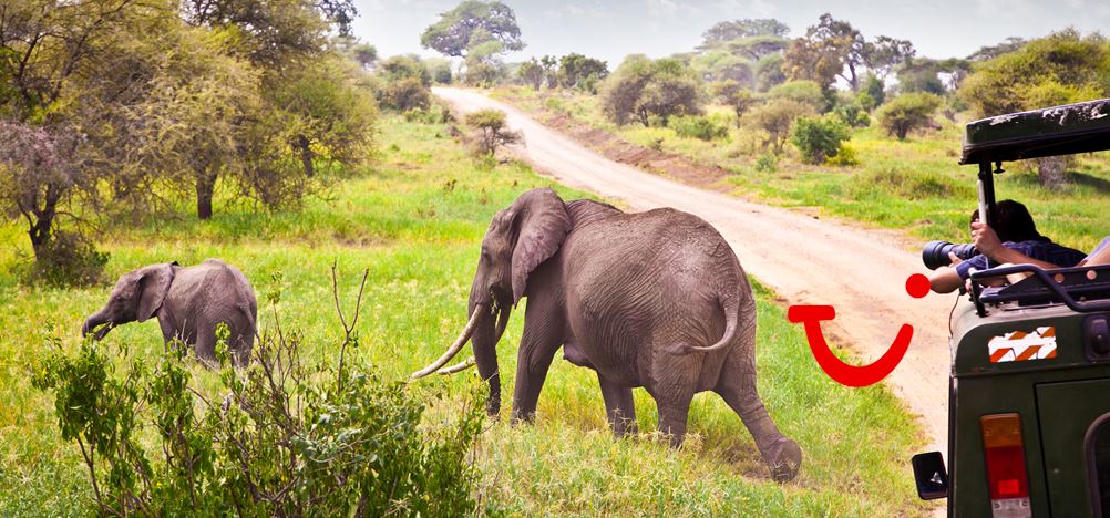 16 daagse safari best of kenya
