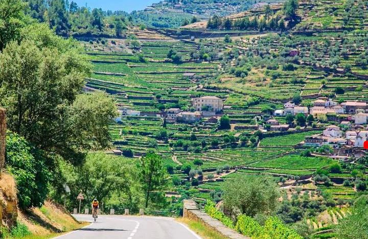 Fietsreis Do Rio Douro a Tomar - Wielrennen