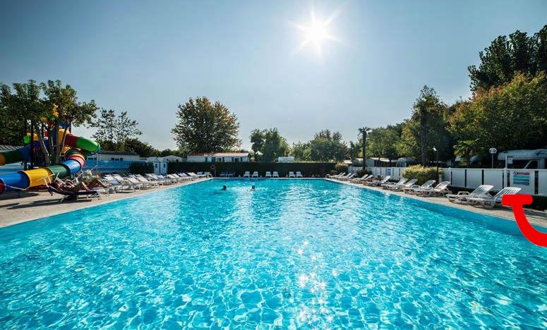 Butterfly - Happy Camp