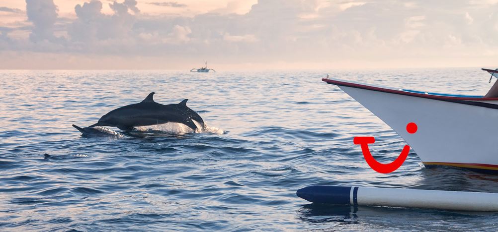 10-daagse Combinatiereis Lovina & Sanur