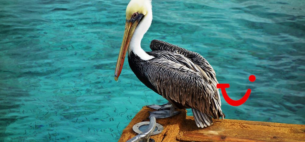 9-dg cruise Caribische Zee - Marella Discovery 2