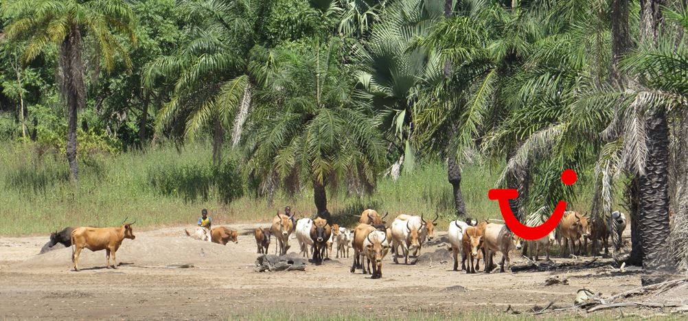 8-daagse combinatiereis Beleef het échte Gambia