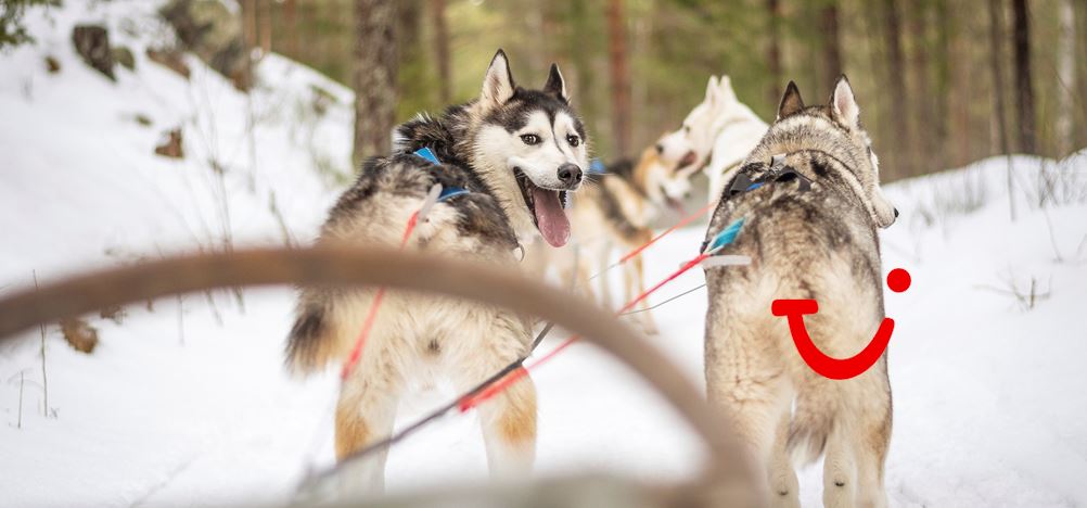 8-daagse fly-drive Zweeds winter wonderland