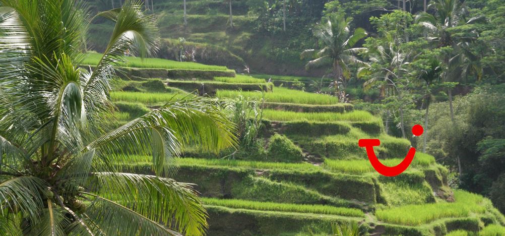 15-daagse familierondreis Bali