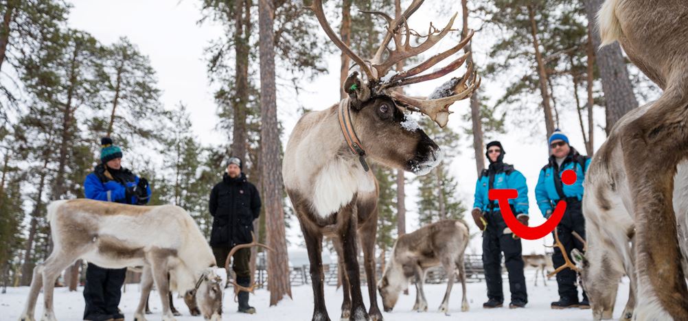 8-daagse excursiereis Saariselka Wilderness Week