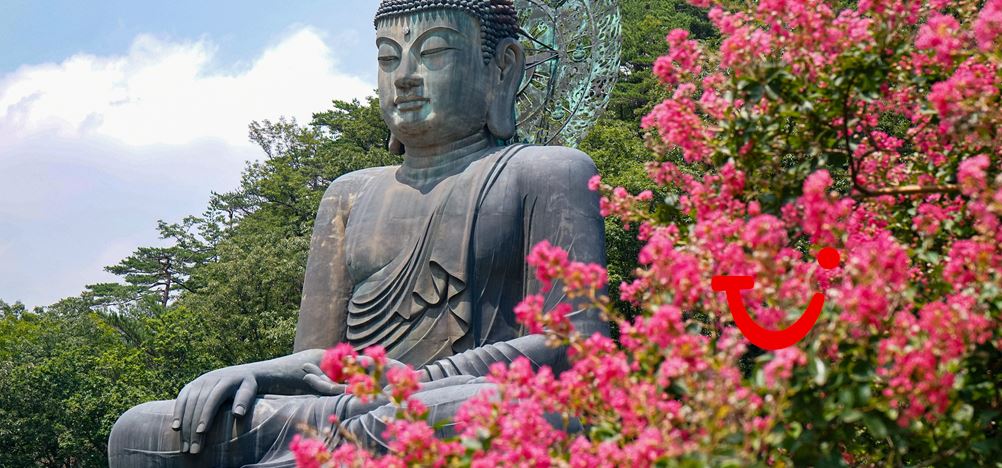 13-daagse rondreis Hoogtepunten van Zuid-Korea