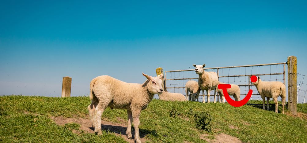 7-daagse fietsreis Rondje IJsselmeer