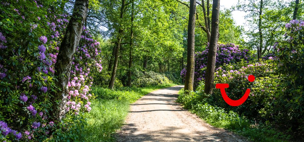 7-daagse Fietsreis Overijssel & Duitsland