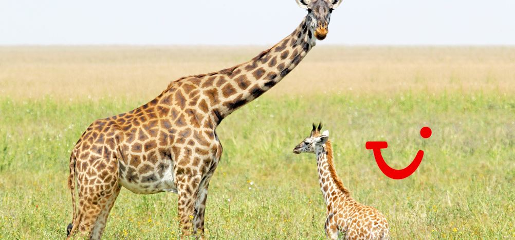 9-daagse safari Selous & Zanzibar