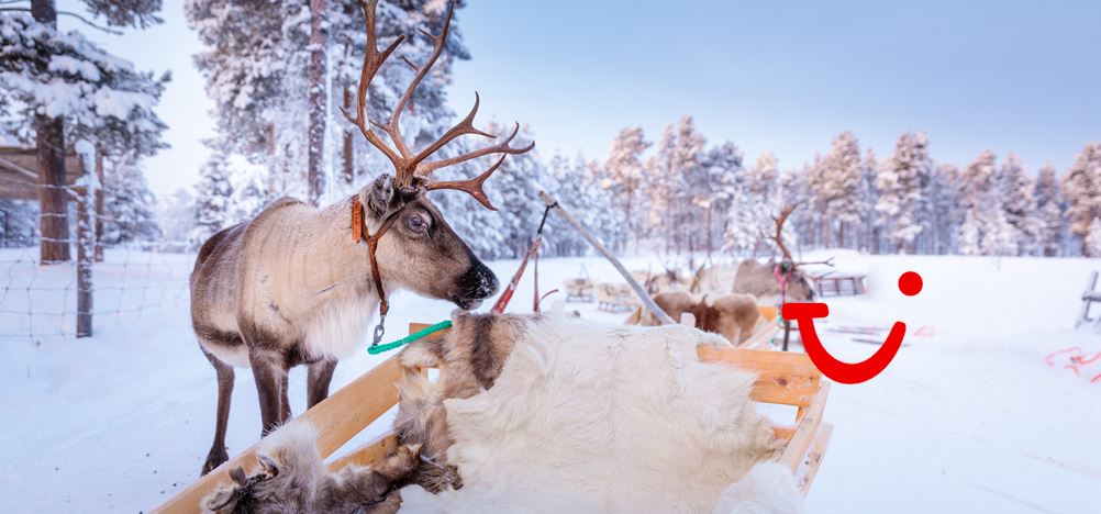 8-daagse excursiereis Winter Week Saariselka