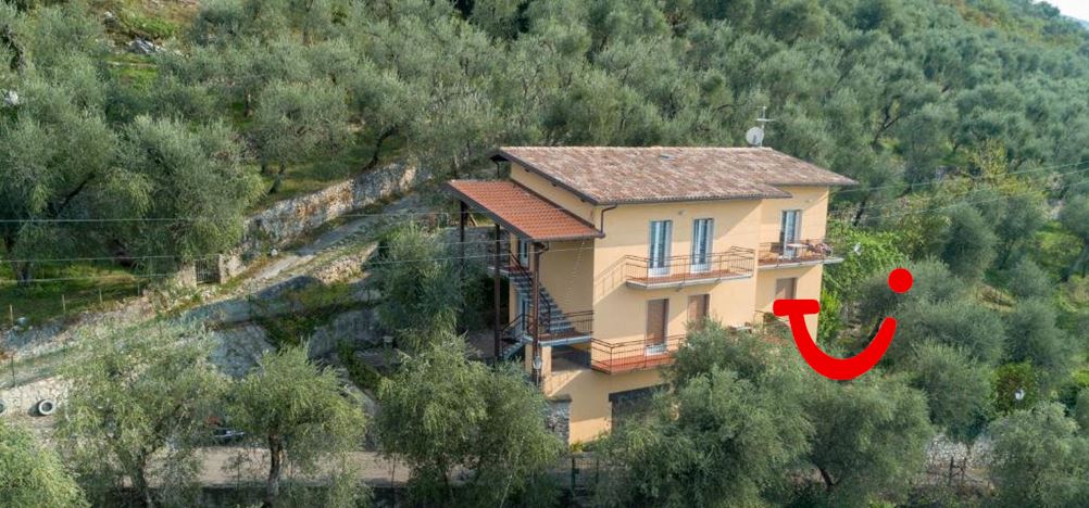 Villa Olivo