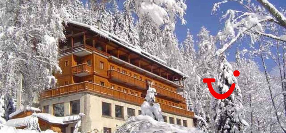 Chalet Hotel Les Campanules