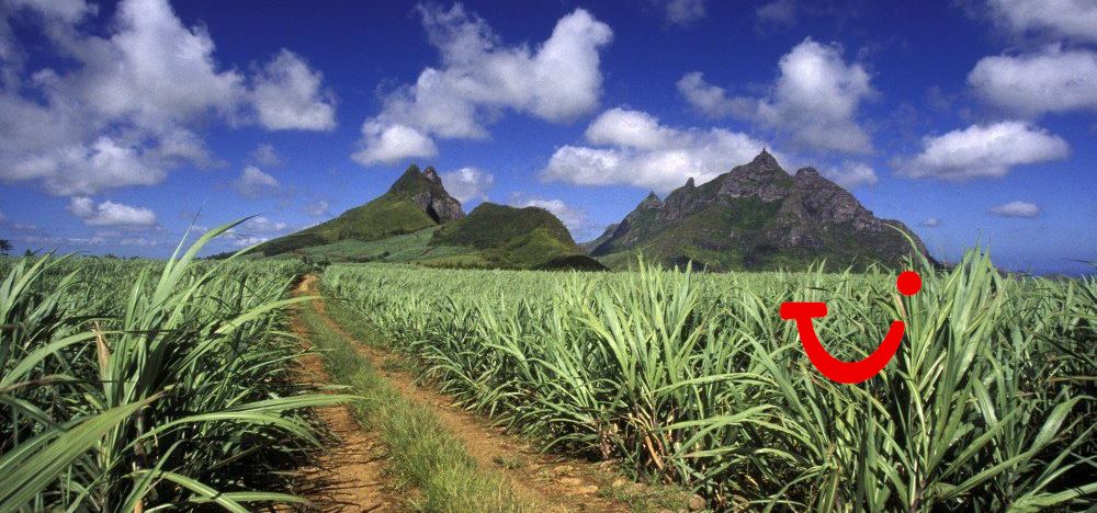 Startpakket Mauritius