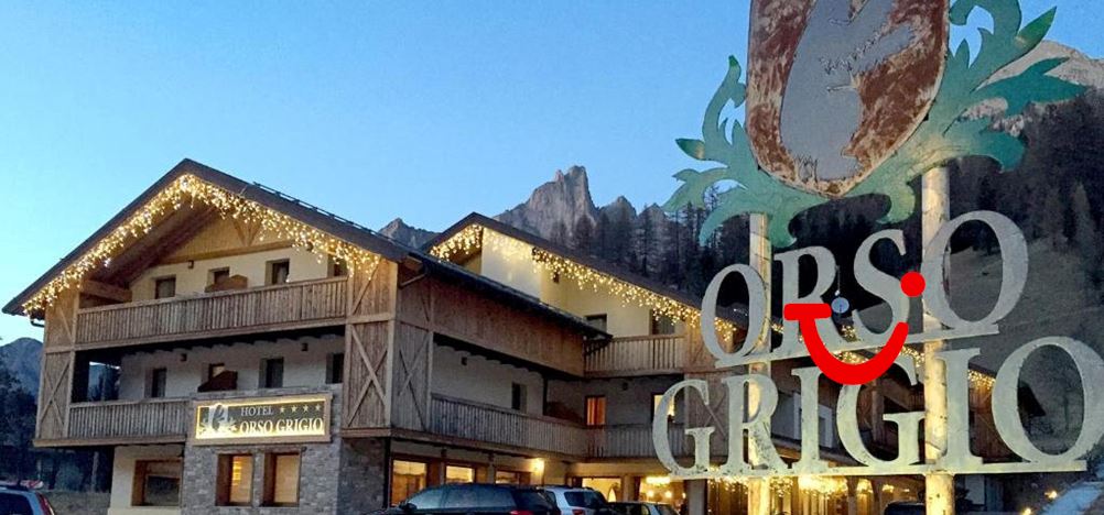 Orso Grigio