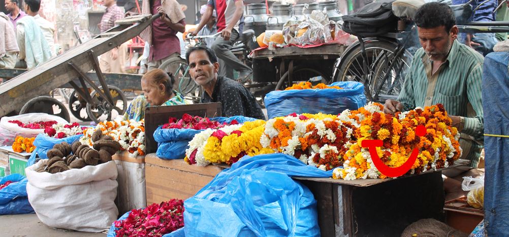 13-daagse rondreis Koninklijk Rajasthan