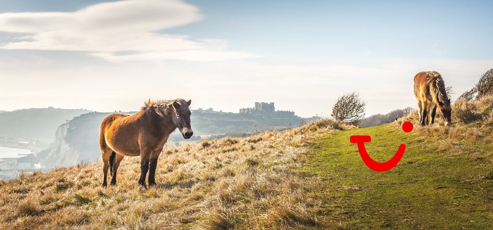 13-daagse cruise West-Europa