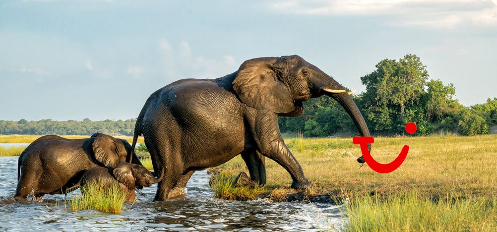 15-daagse rondreis Namibië, Botswana & Zimbabwe