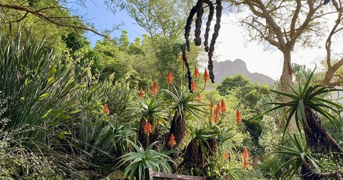 6x Bezienswaardigheden Zuid-Afrika