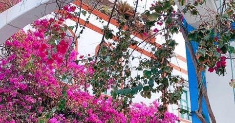 Gran Canaria: Winterse ontsnapping