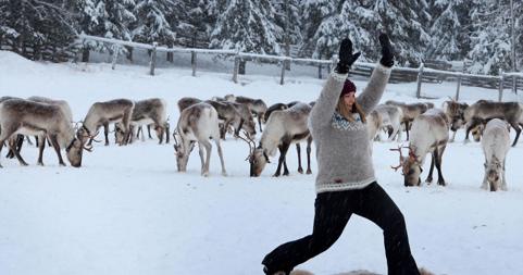 Favoriete skigebied in Finland