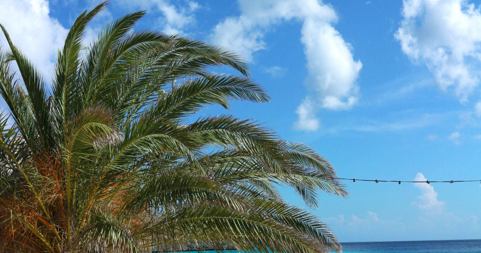 Tips: Wat te doen op Curaçao