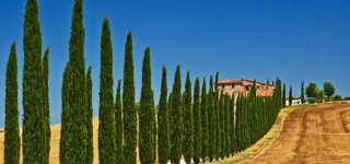 Toscane
