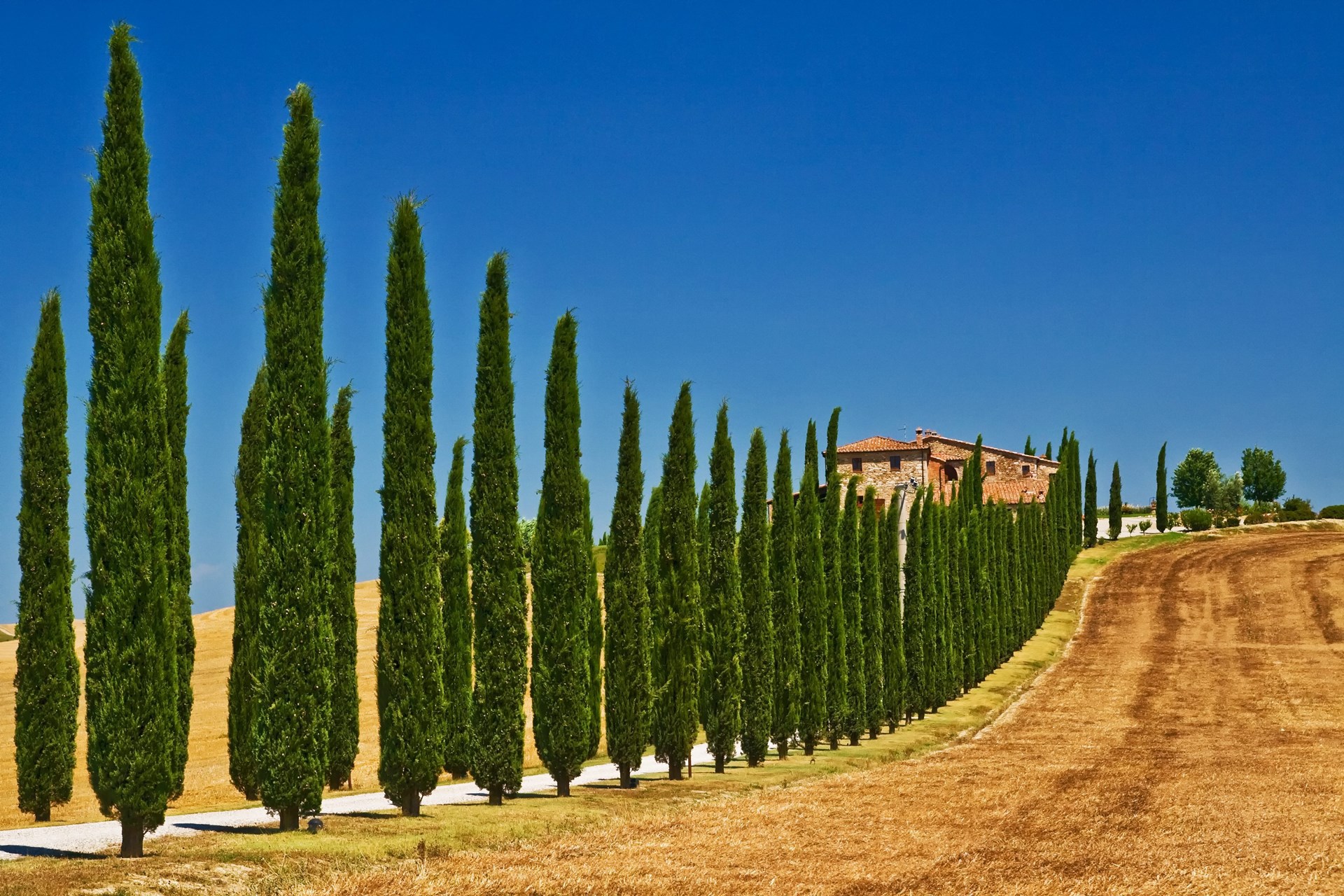 Toscane