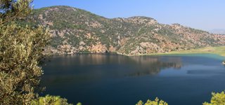 Sarigerme