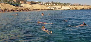Sharks Bay
