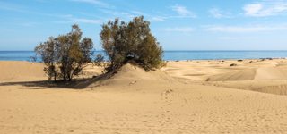 Maspalomas