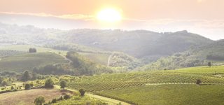 Toscane