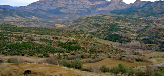 La Puebla de Roda