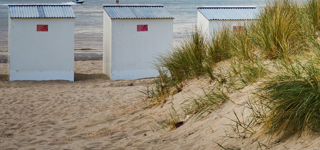 Noordzeekust