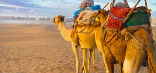 Agadir