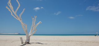 Boa Vista