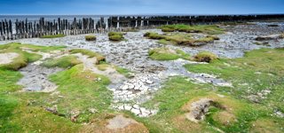 West-Terschelling
