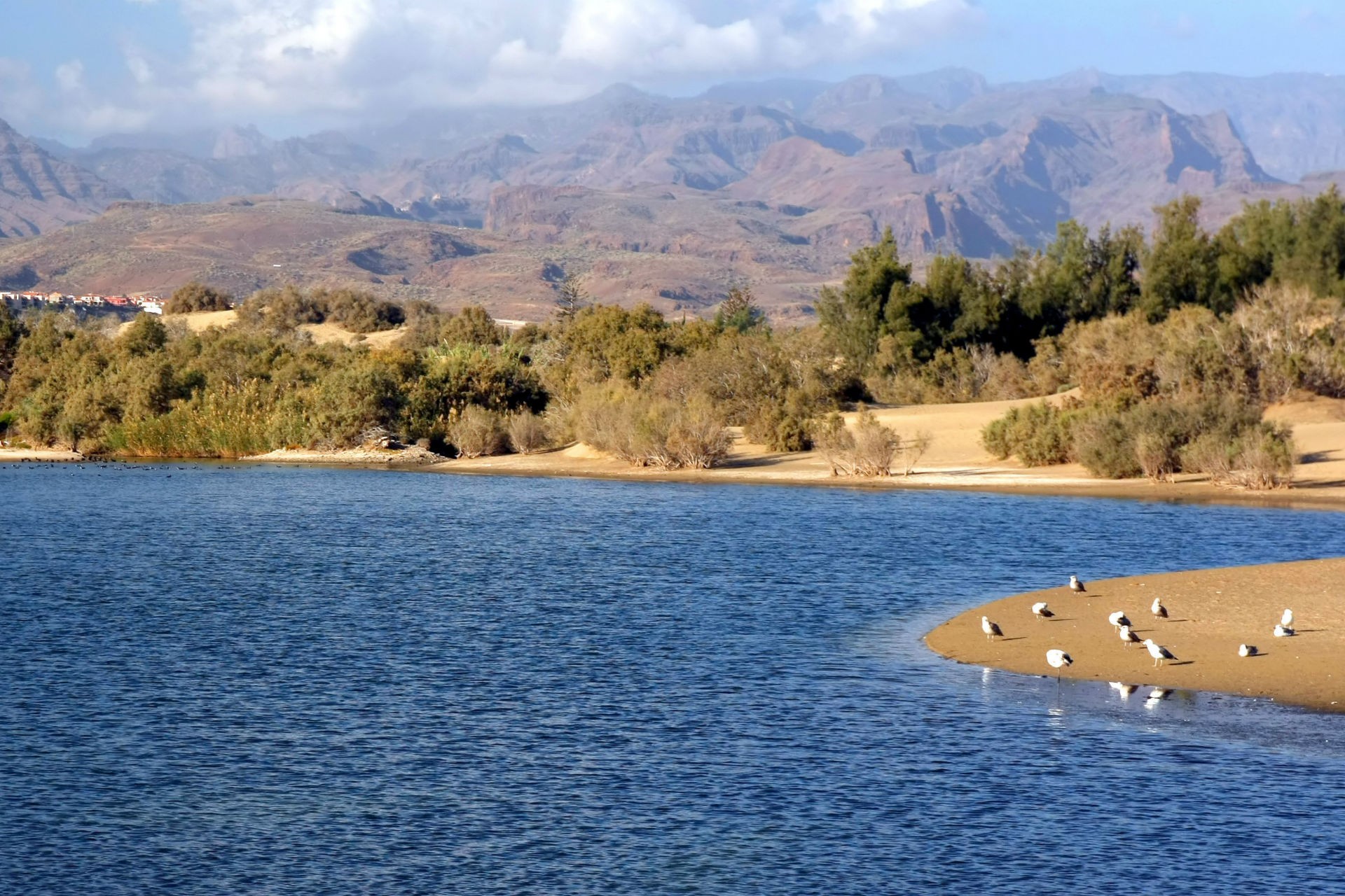Maspalomas