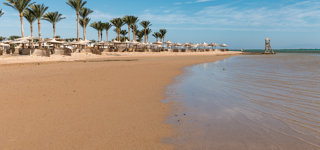 Nabq Bay