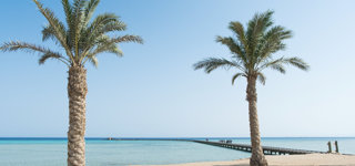 Soma Bay