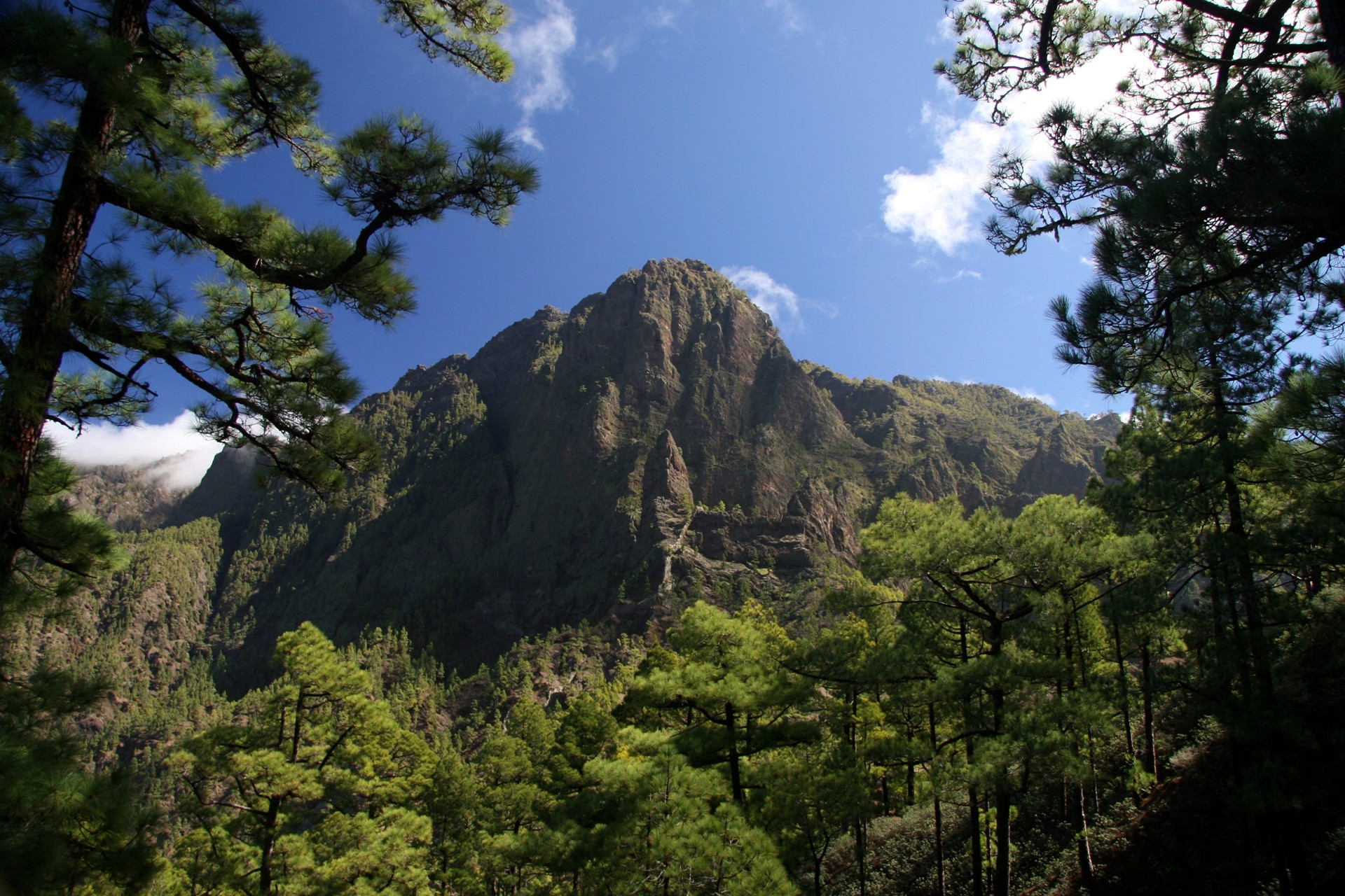 Tijarafe