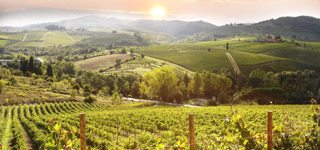 Toscane