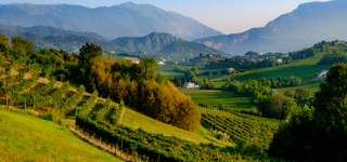Treviso