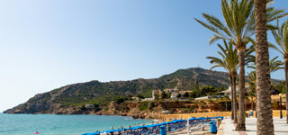 Albir