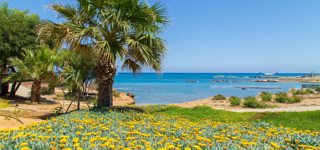 Ayia Napa